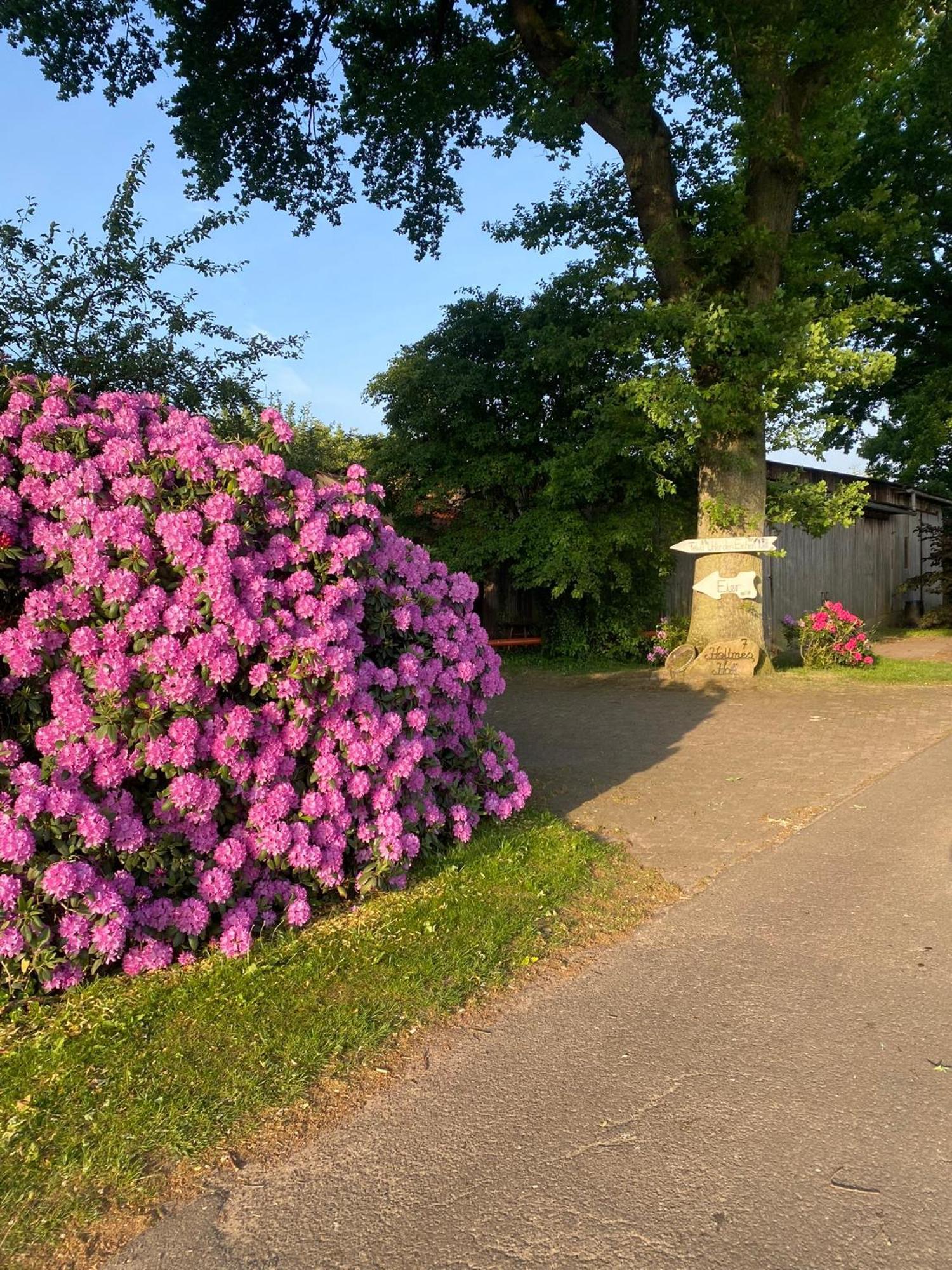 BotersenUnter Den Eichen公寓 外观 照片